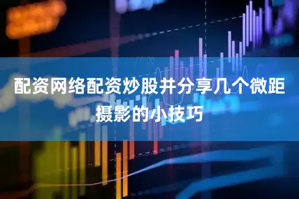 配资网络配资炒股并分享几个微距摄影的小技巧