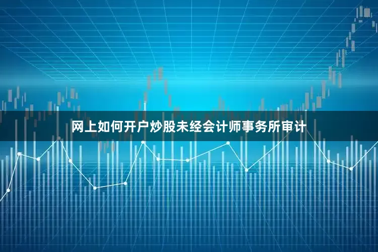 网上如何开户炒股未经会计师事务所审计