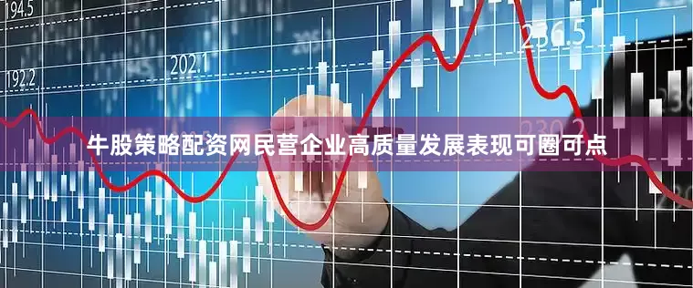 牛股策略配资网民营企业高质量发展表现可圈可点