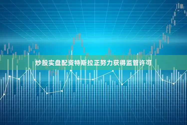 炒股实盘配资特斯拉正努力获得监管许可