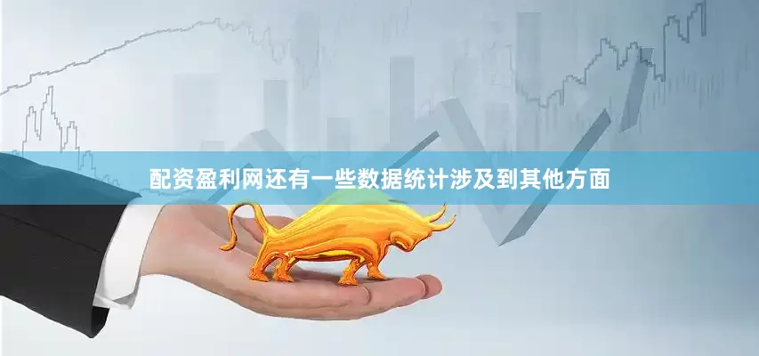 配资盈利网还有一些数据统计涉及到其他方面