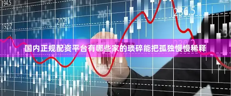 国内正规配资平台有哪些家的琐碎能把孤独慢慢稀释